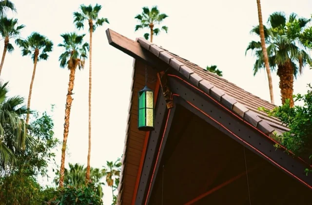 A roof with a lantern and palm trees in the background